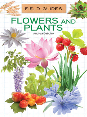 Flowers and Plants - ebook